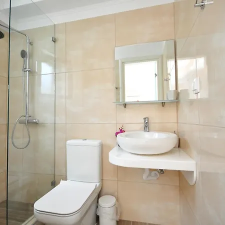 Dolphin * 팔레오카스트리차