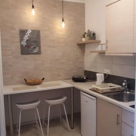 Dolphin * 팔레오카스트리차