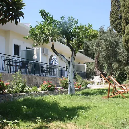 Dolphin * 팔레오카스트리차