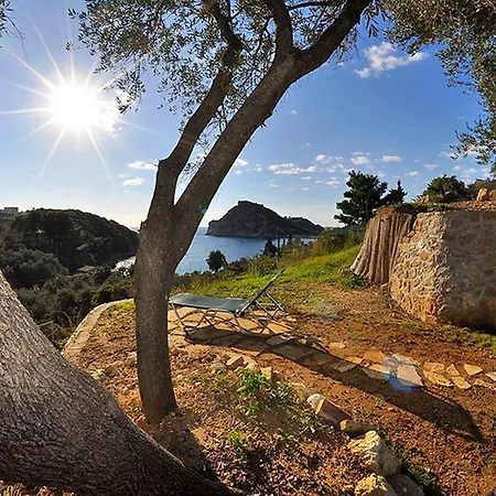 Dolphin Apartment Paleokastritsa