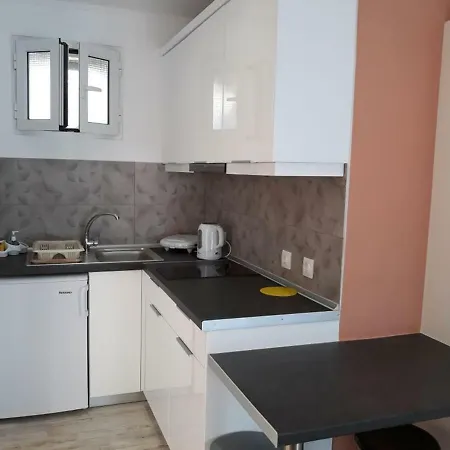 Dolphin * Paleokasztríca