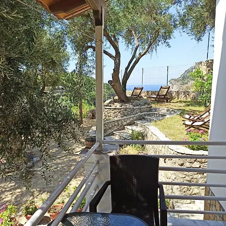 Dolphin Paleokastritsa